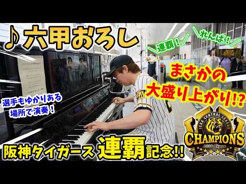 【ストリートピアノ】『六甲おろし』連覇で大盛り上がり!!（阪神タイガースリーグ優勝記念2026）選手もゆかりある場所で演奏！〔新神戸駅ストリートピアノ〕