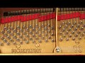 Pre-Owned Yamaha model C3 | Refurbished by PianoWorks