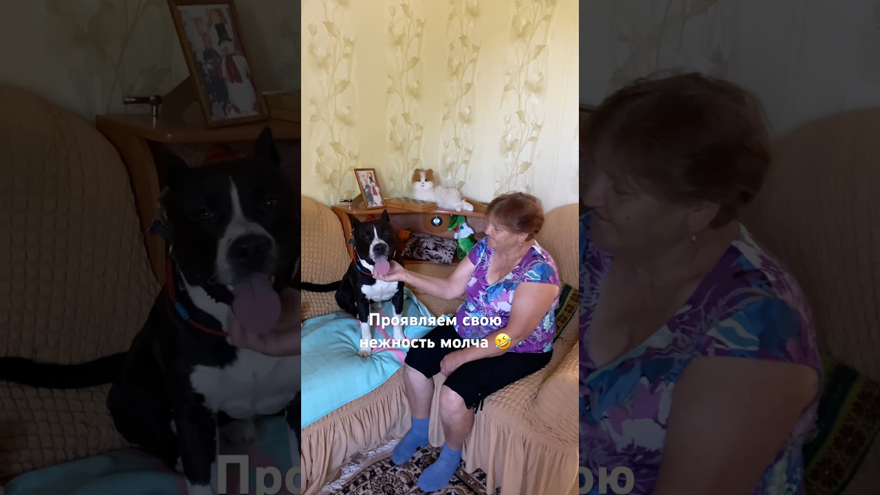 С бабушкой не забалуешь 🤣 