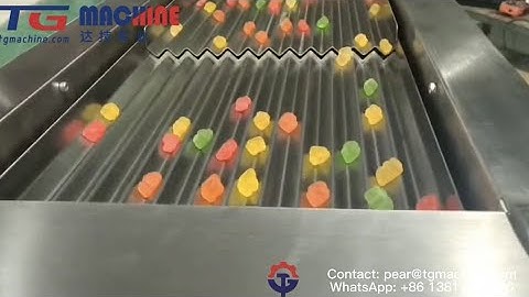 Gummy counting bottling line jelly gummy candy package machine line