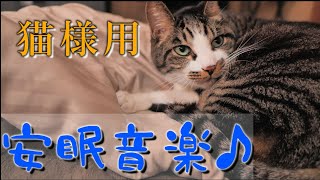 猫が落ち着く、癒される猫のための音楽!  不安、ストレス緩和に役立つ猫用BGMを聴かせてみた！【528Hz 猫動画 癒し かわいい】