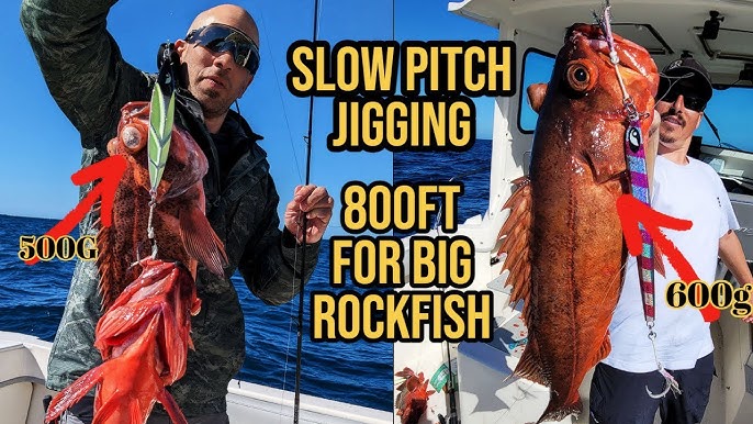 Here are my favorite jigs for rockfish & lingcod. 