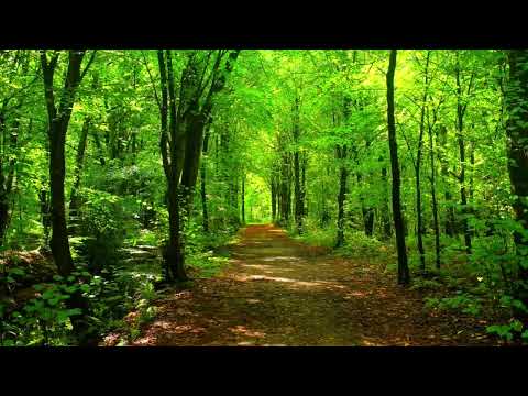 Если ждёт тебя дорога Юность Иисусу христианская музыка 