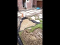 Garden drainage solution - part 2