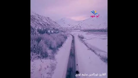 القارئ نورالدين سليم نوري