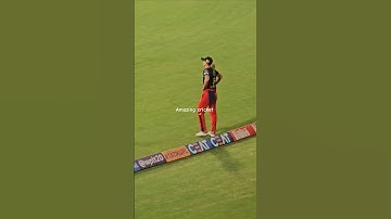 Ellyse Perry on the spot #shorts #rcb #wpl #wpl2025