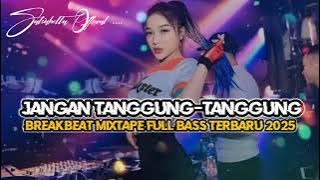 DJ BREAKBEAT MIXTAPE FULL BASS VIRAL TIKTOK TERBARU 2025 🎵 JANGAN TANGGUNG-TANGGUNG🎵