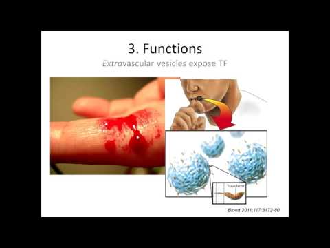 ISTH Academy presentation - Microvesicles Webinar