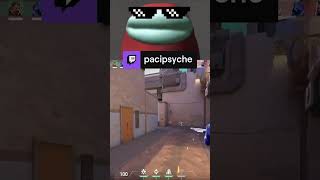 да похуй | pacipsyche с помощью #Twitch