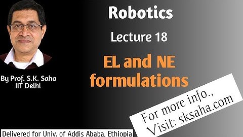 Robotics  (18 of Addis Ababa Lectures): EL and NE Formulations