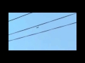 حربي