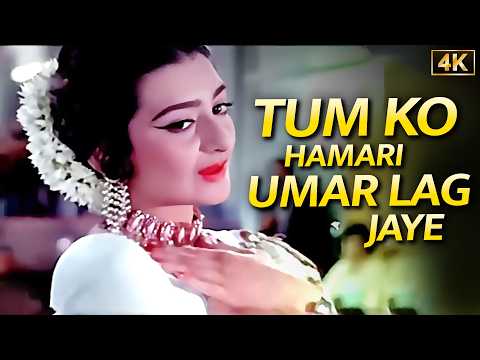 तुमको हमारी उम्र लग जाए ❤️ Lata Mangeshkar | Rajendra Kumar & Saira Banu | Ayee Milan Ki Bela (1964)