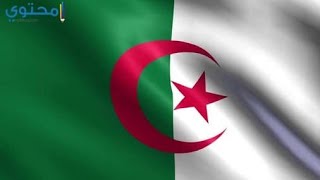 كورونا في الجزائر ورسالة لأصحاب القنوات المعروفة