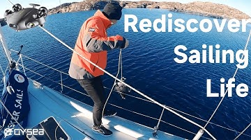 How can #QYSEA underwater drones help you rediscover the sea? | FIFISH V6 EXPERT Underwater Drone