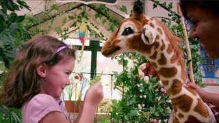 Welcome to Discovery Isle Preschool