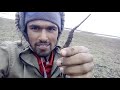 Journey to Yarsa || Jumla Nepal || Yarsagumba collection ||