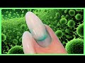 Watch for hidden bacteriagreenies in your nails