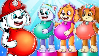 OMG...! Brewing Cute Pregnant & Cute Baby Factory - Paw Patrol The Mighty Movie - Rainbow 3