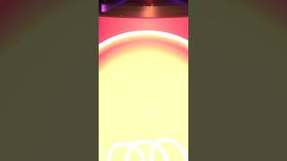Niko's POV (Short Version)