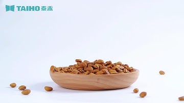 TAIHO AI Sort Bulk Material X-ray Inspection Sorting Machine