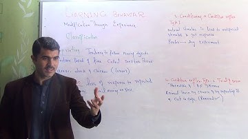 L-3 learning behaviour and its classification