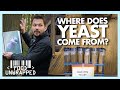 What is Yeast and How is it Found? | Food Unwrapped