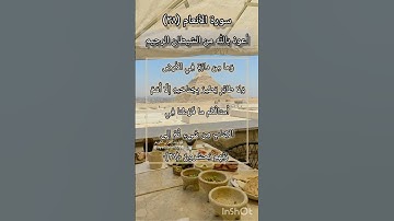 سورة الانعام الآية ٣٨