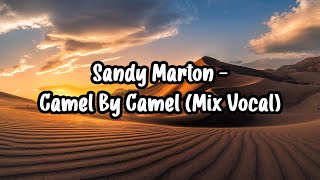 Sandy Marton - Camel By Camel (Mix Vocal) (Lyric Video) Resimi