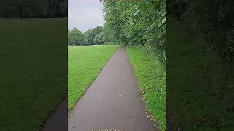 Choose the Right Path