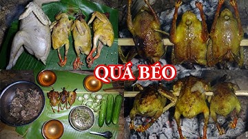 VÀO RỪNG KIẾM ĂN, ĐÁNH BẪY, SĂN BẮT, CUỘC SỐNG TRONG RỪNG - T2