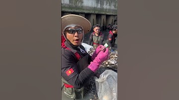 Có gì dưới bãi rác này? #saigonxanh #cleaning #cleaningmotivation #onhiem #moitruong #windnet