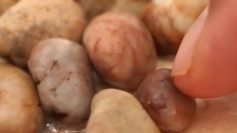 Can I Embed Objects In Clear Resin?