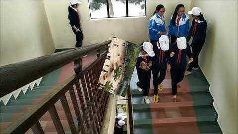 Trường THCS Phan Chu Trinh - Đà Lạt