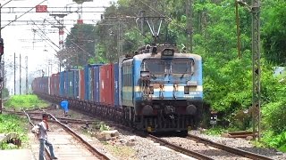 Famous My Favorite | Speed Icon CONCOR Freight Rajdhani Profile