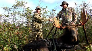 Dave and Jamie&#39;s trophy Newfoundland moose hunt