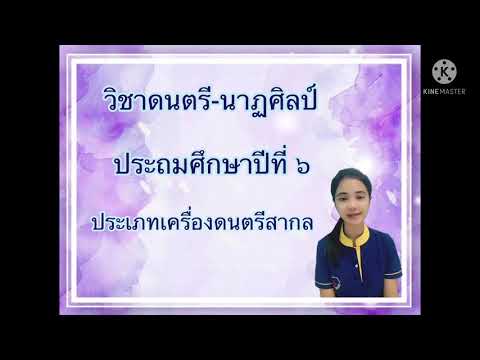 ประเภทเครื่องดนตรีสากล ประถมศึกษาปีที่ 6