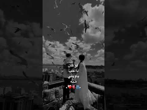 لوكان دا حب ياويلي منو