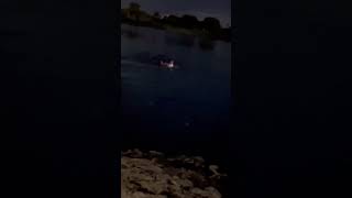 Gator infested water RC boat recovery