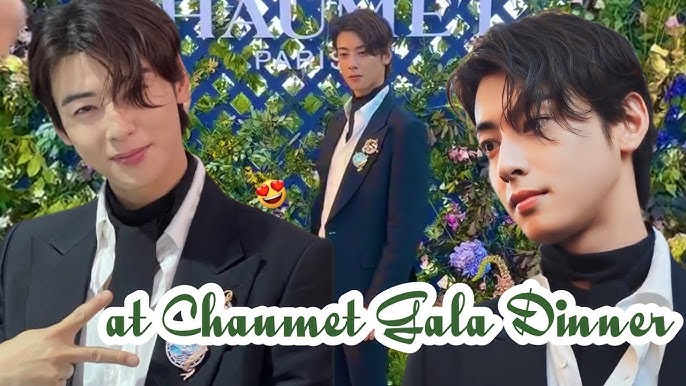 Cha Eun Woo 차은우 Daily on X: Cha Eun Woo at Dior Paris Fashion Walk 2023..  230623 #차은우 #CHAEUNWOO #CHAEUNWOOxDiorSummer24 #CHAEUNWOOxDIORHOMME   / X