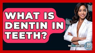 What Is Dentin In Teeth? - The Pro Dentist