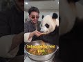 food time with panda🐼| subscribe🔔 #aigenerated #panda #youtubeshorts