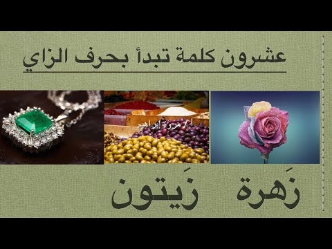 كلمات بحرف الزاي بالحركات المختلفة تعلم عربي ببساطة Words That Start With Letter Zay
