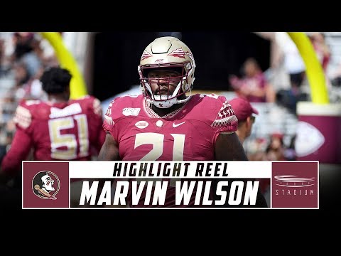 florida-state-dt-marvin-wilson-highlight-reel---2019-season-|-stadium