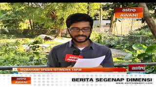 Memahami spesis istimewa tapir