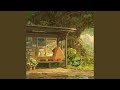 Lazy Rain