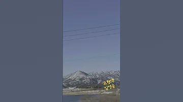 Shorts 임영웅 고향역 