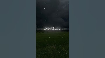سورة القيامة|26-37|القارئ:#ياسر_الدوسري #قران#quran#راحة_نفسية #قران_كريم #آية #تلاوة_خاشعة