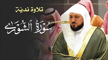 تلاوة عذبة من الشيخ د. ماهر المعيقلي لأواخر سـورة الشورى | مغرب الثلاثاء ١٦-٦-١٤٤٦هـ
