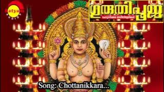 Chottanikkara Amme | Guruthipooja | Ganesh Sundaram | M.G Anil | Narayanan Palaghat