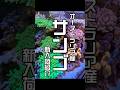 オーストラリア産サンゴ | アクアリウム 熱帯魚